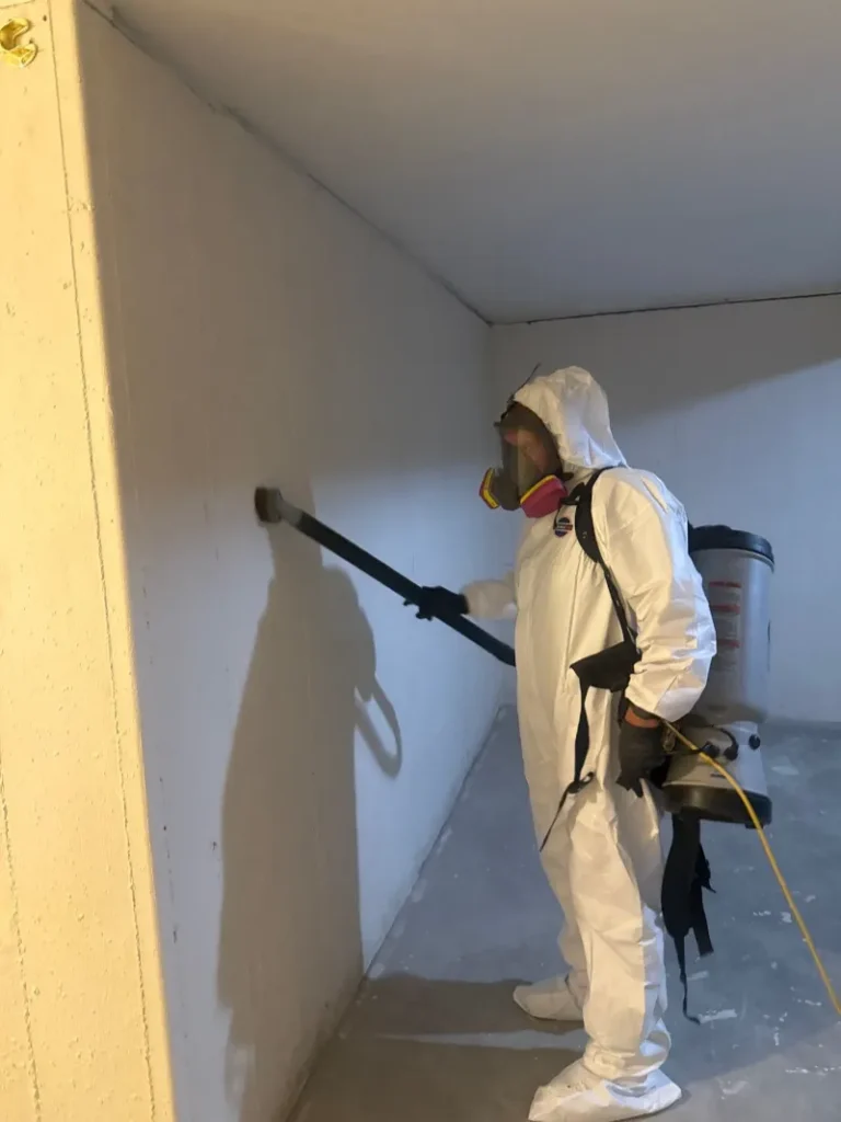Visible black mold colony growing across bathroom drywall after a hidden plumbing leak &mdash; a Noblesville Guardian Angel Restoration mold remediation project