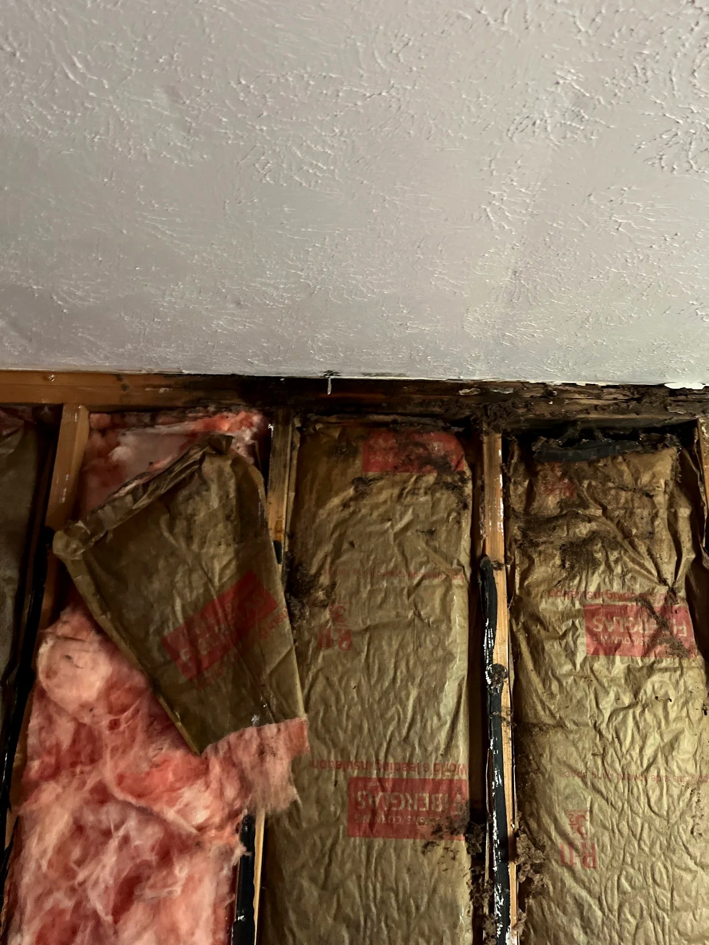 Blackened top plate and framing revealed behind removed drywall and old insulation.