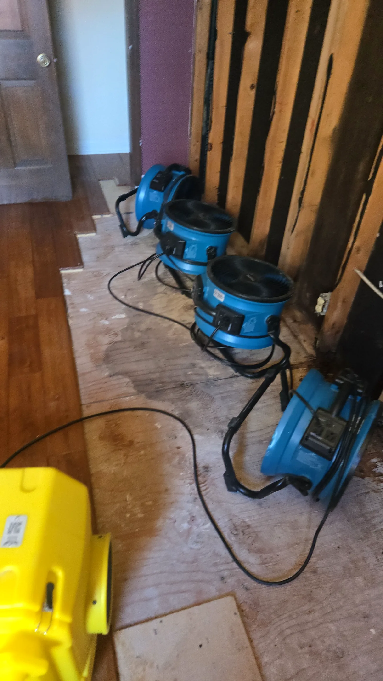 Air movers and a dehumidifier drying a stripped wall with flooring partially removed during mold mitigation.