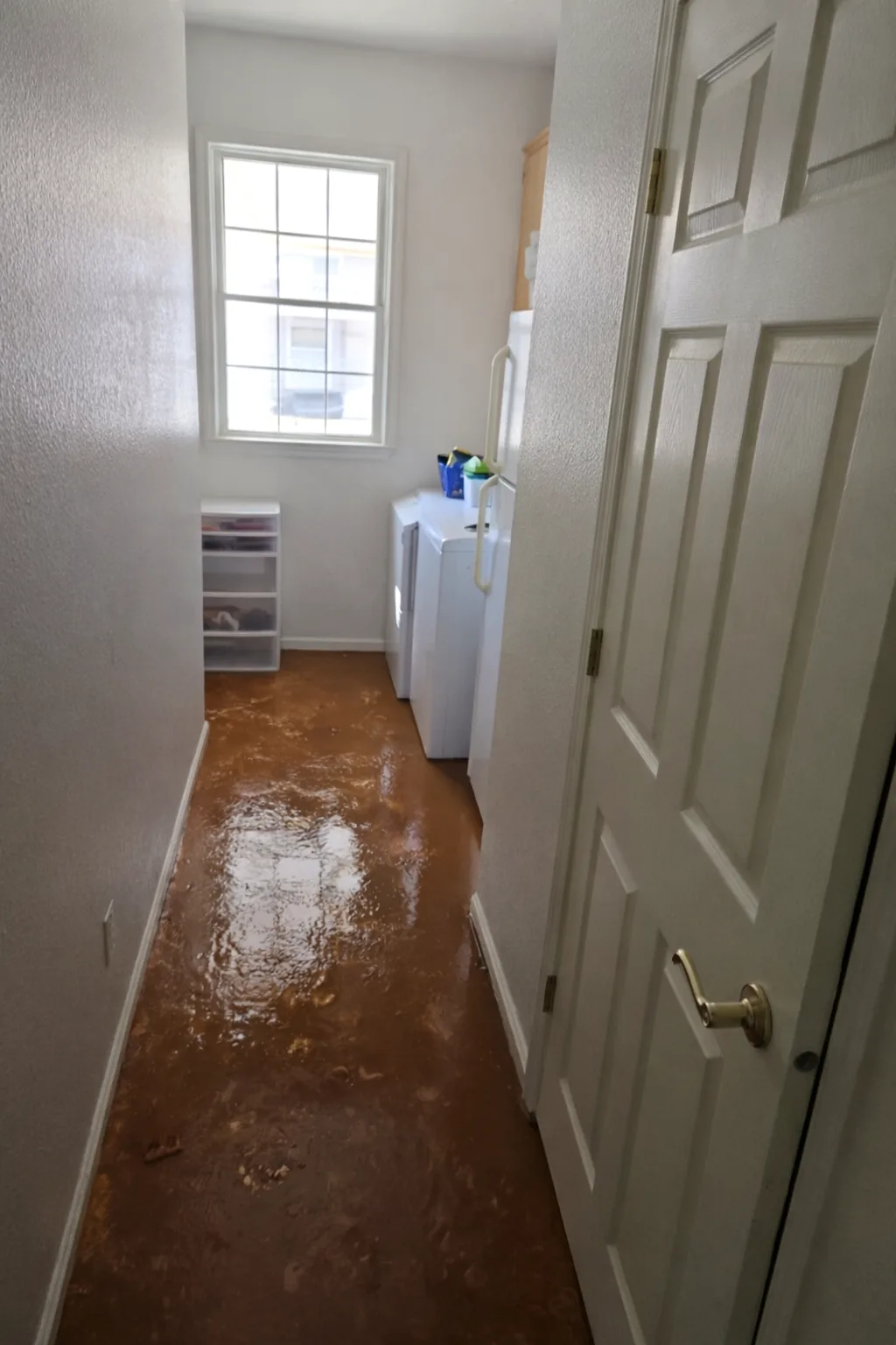 Muddy standing water filling a laundry hallway after a flood.