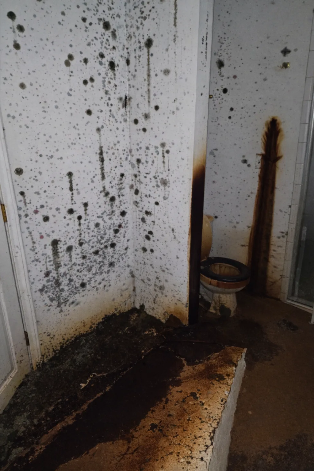 Bathroom walls and fixtures heavily contaminated after a sewage backup.