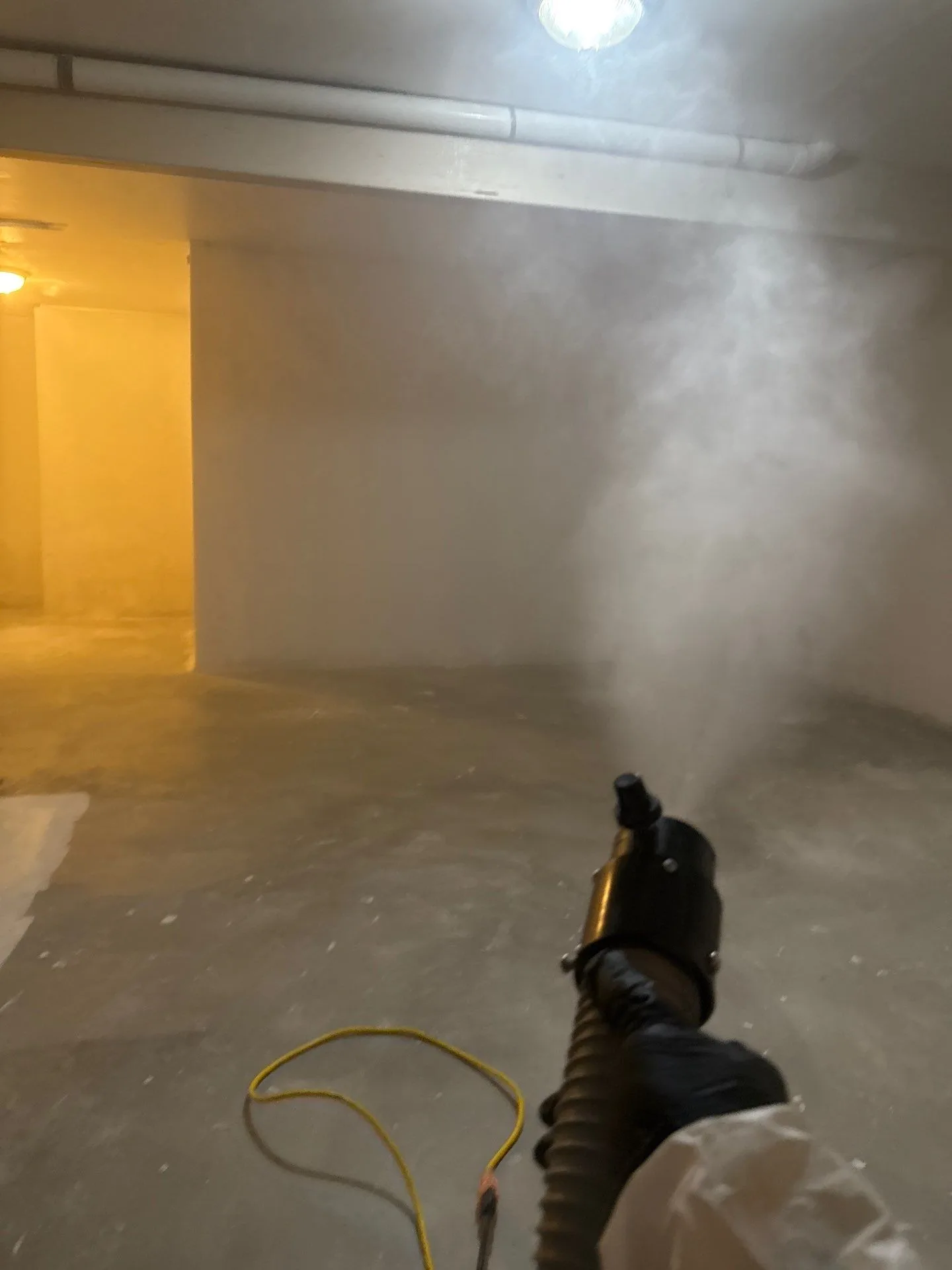 Mold Removal