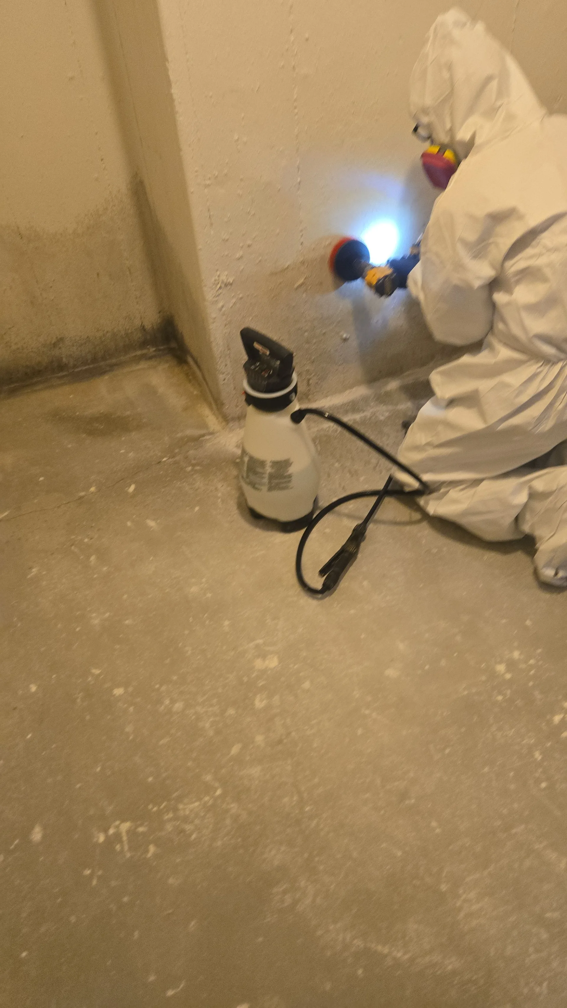 Mold Remediation