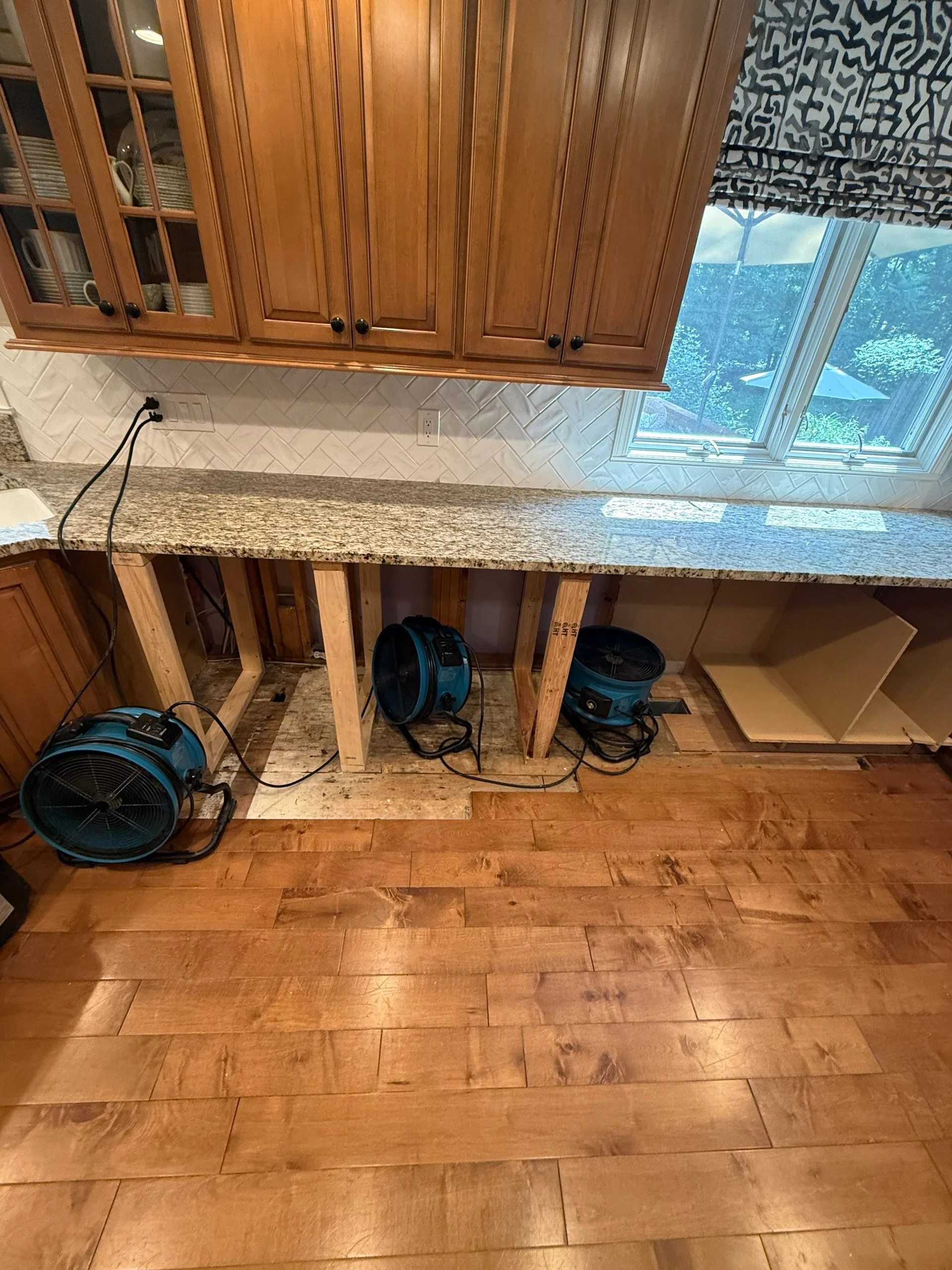Mold mitigation