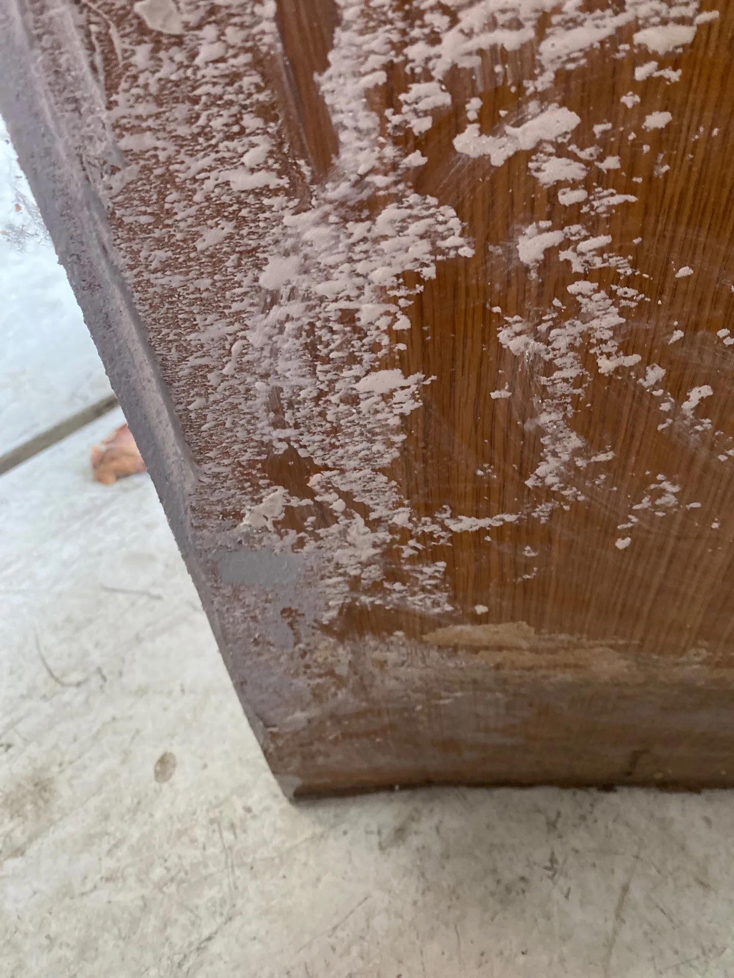 Mold Growth