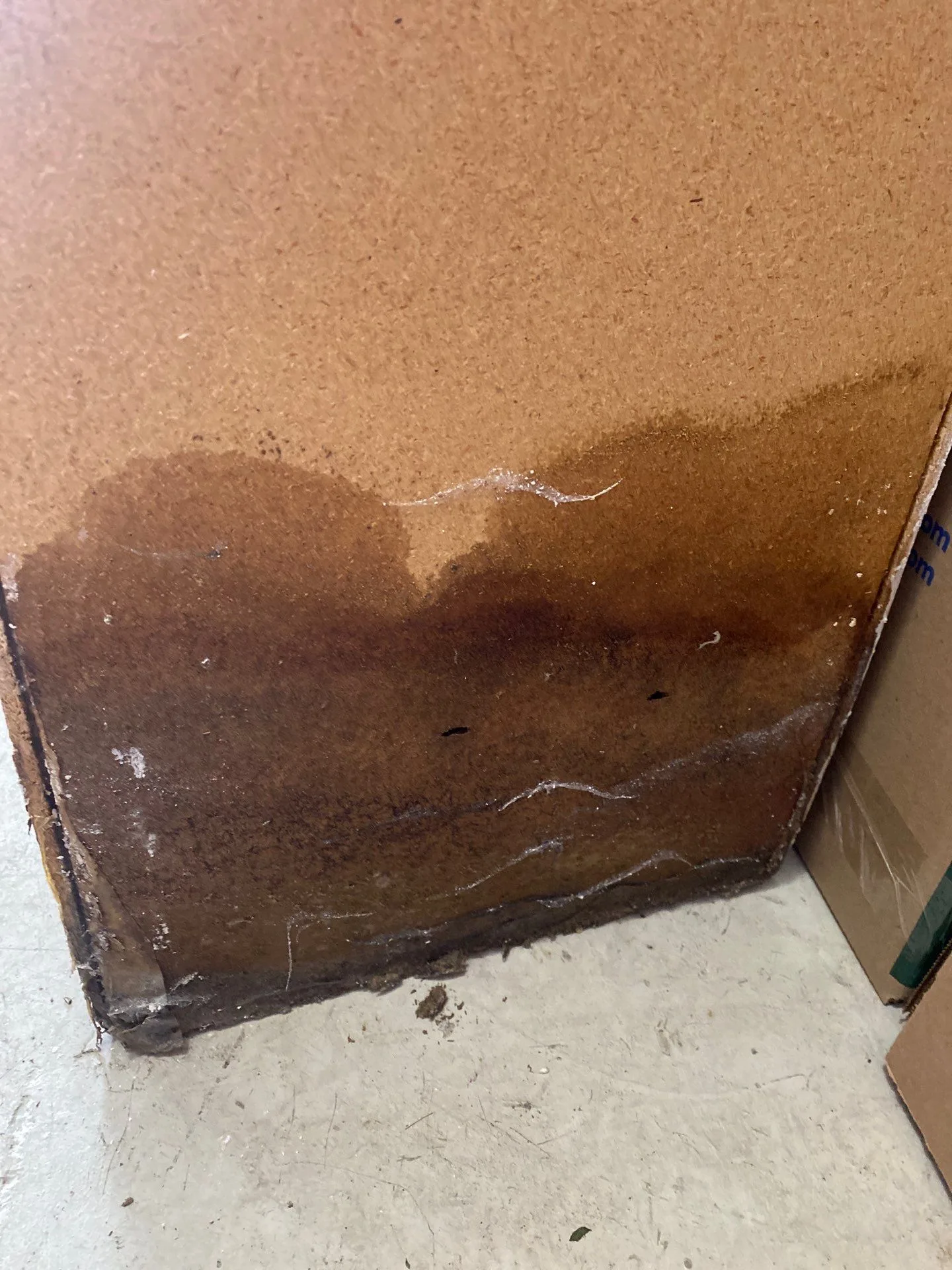 Molded cabinets