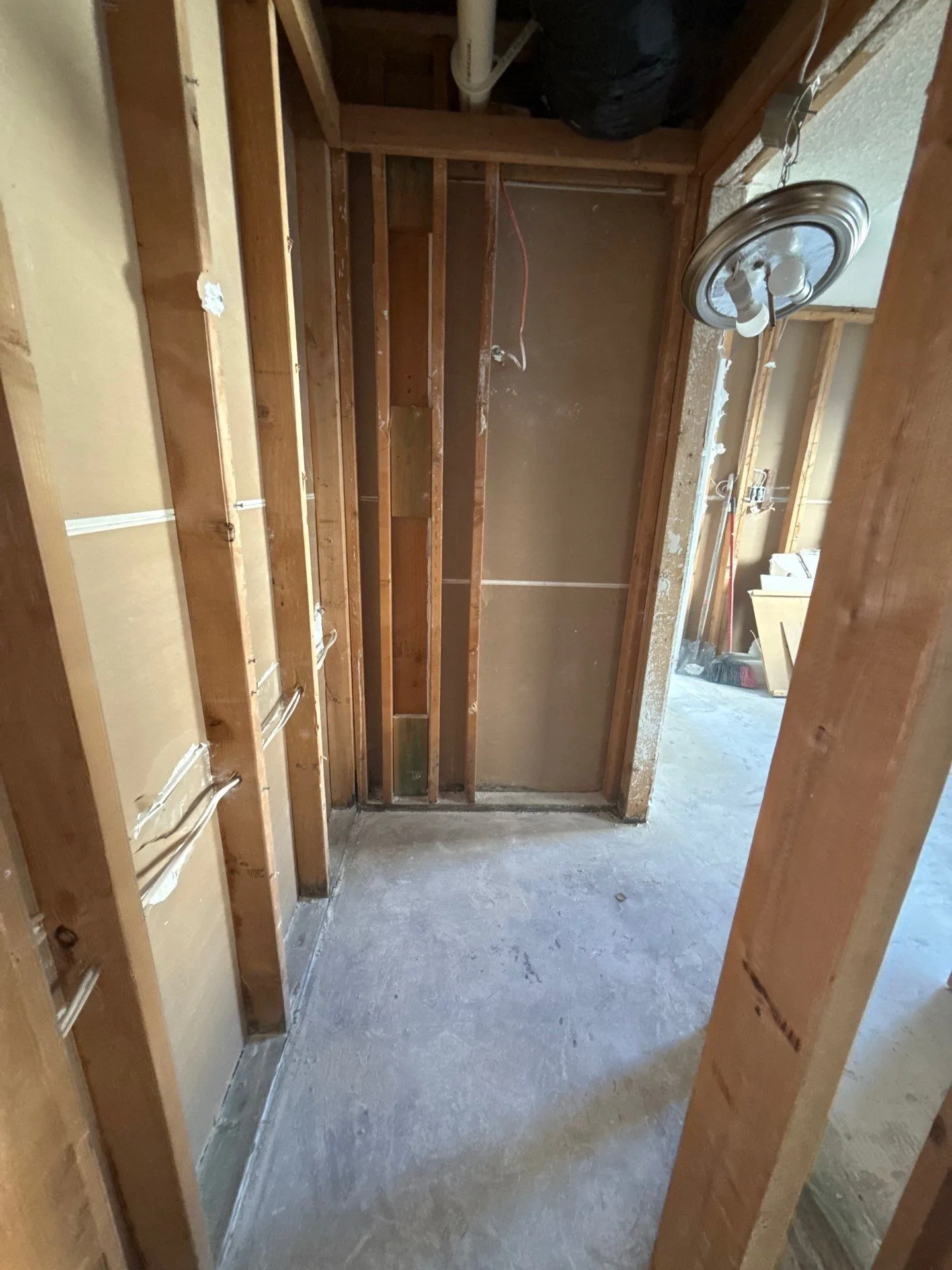 Mold Mitigation