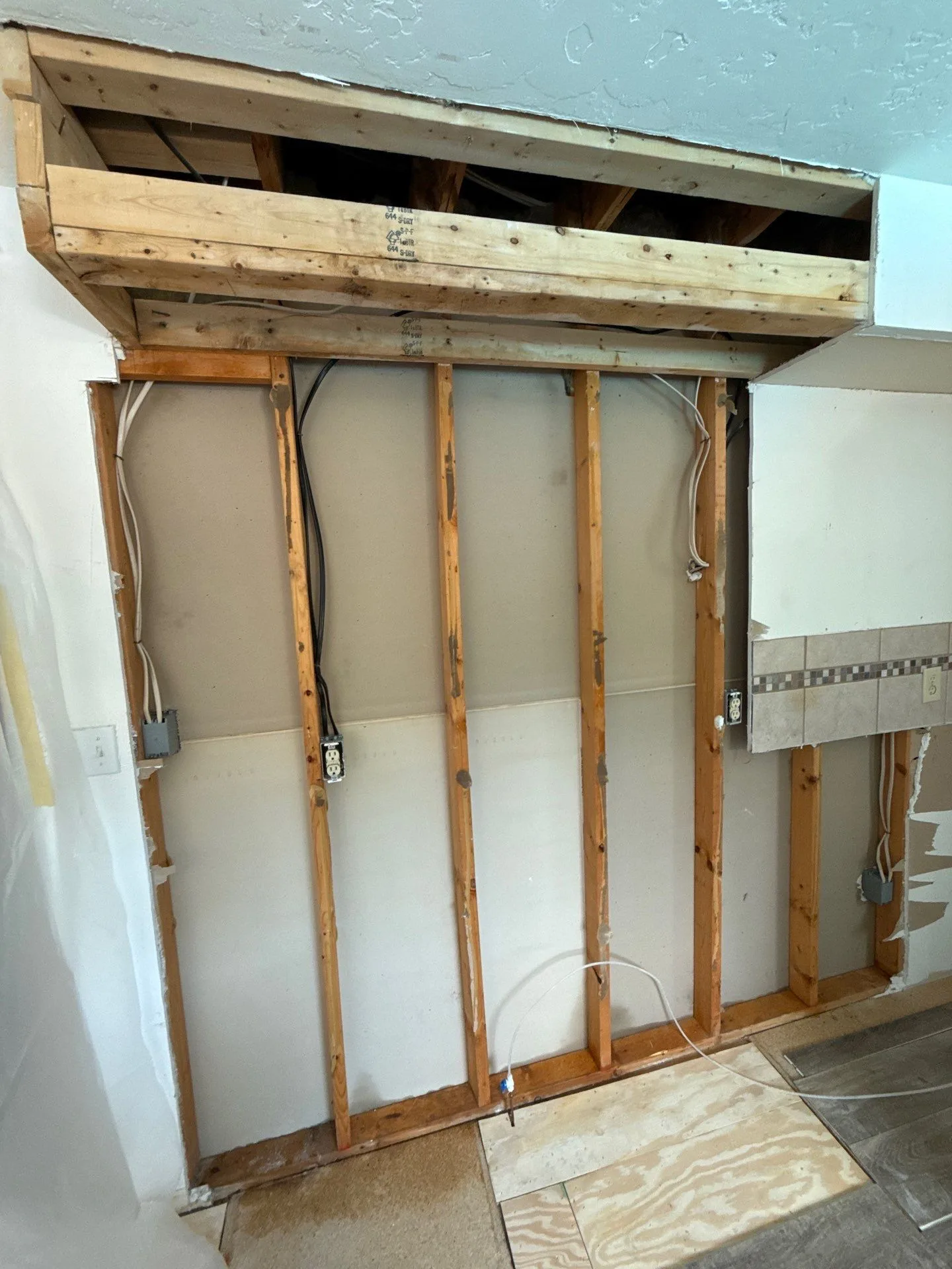 Kitchen mold discovery: cabinet reveal and remediation