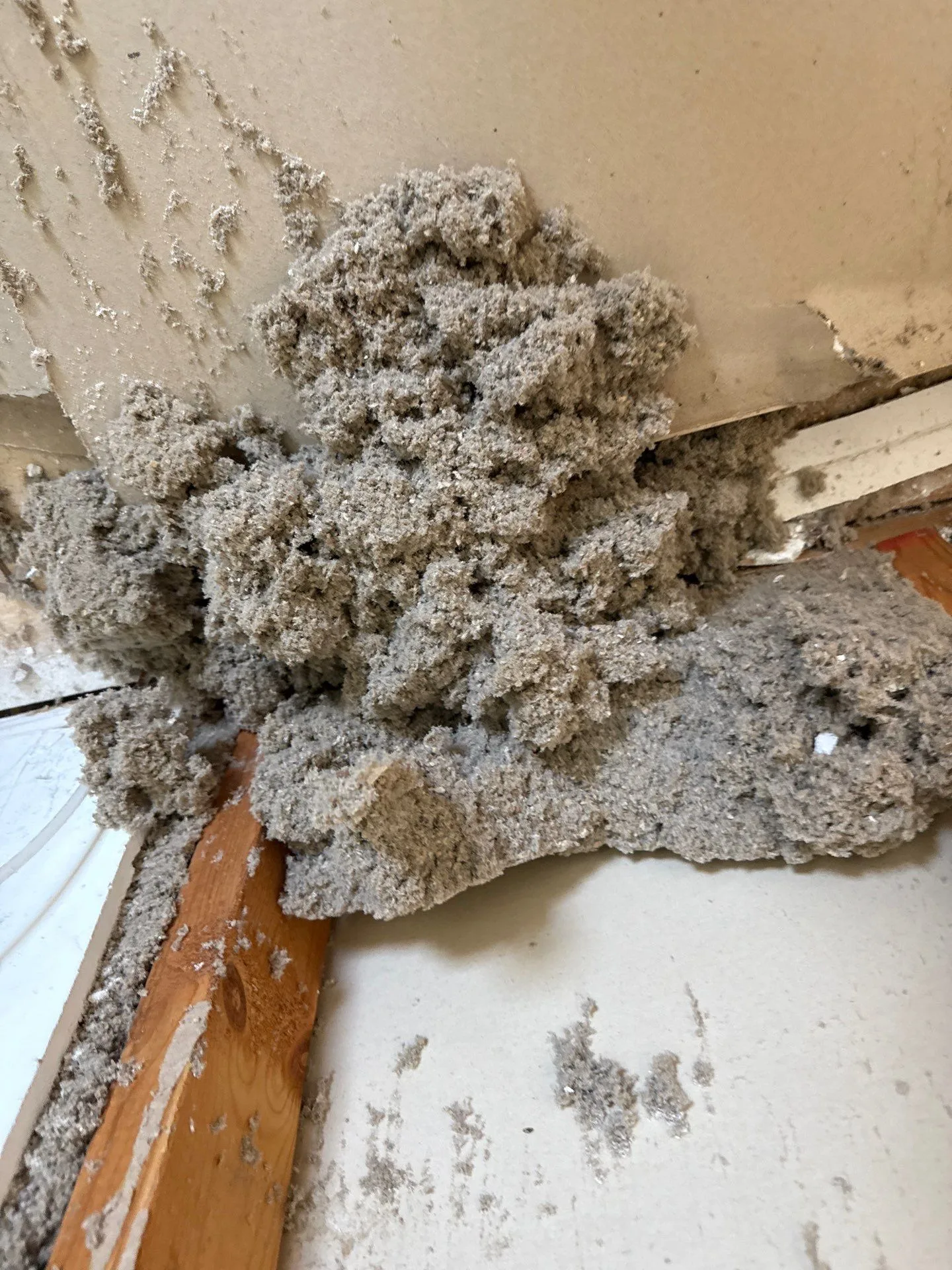 Cabinet mold reveal