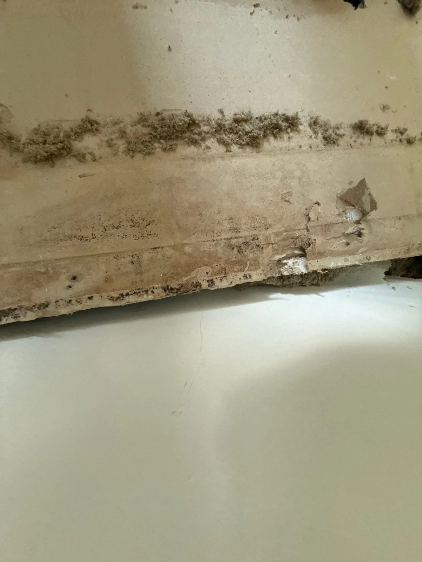 Mold