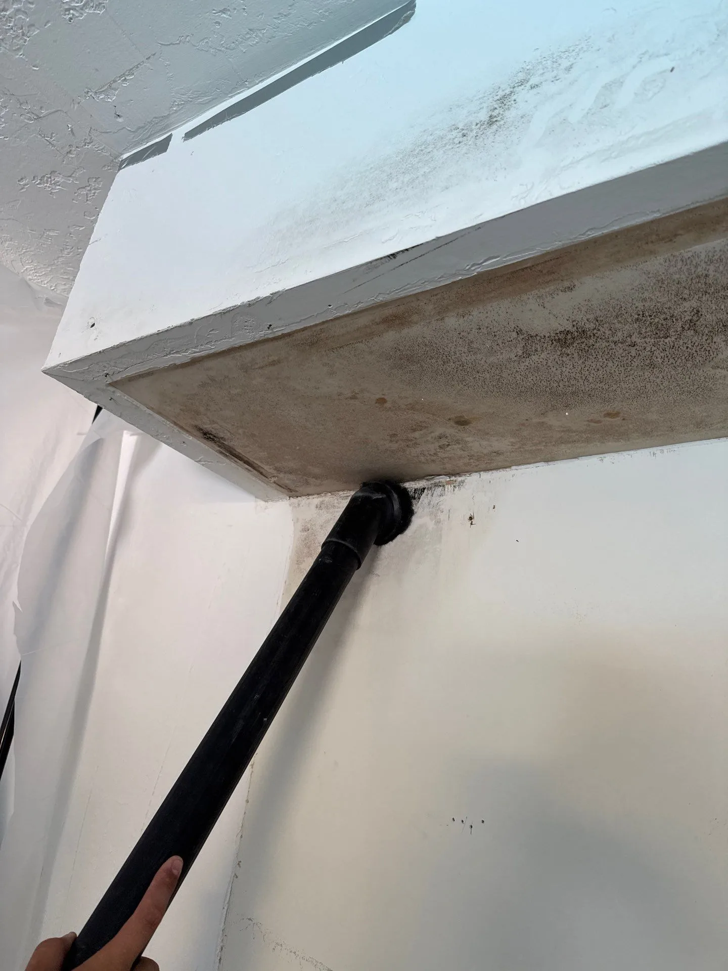 Mold removal