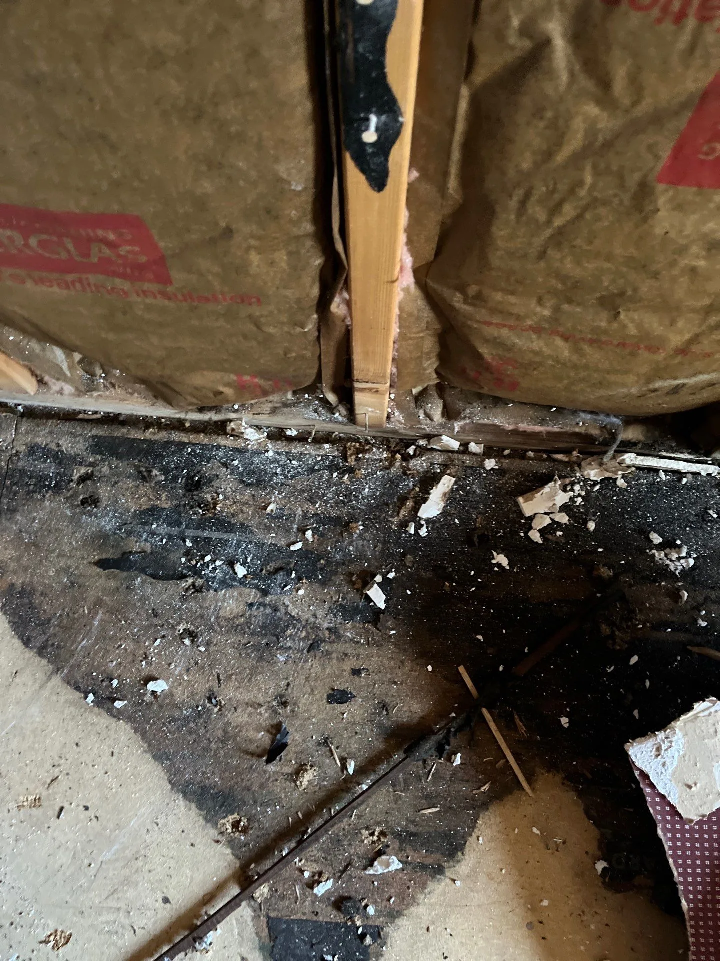Floor Mold Reveal