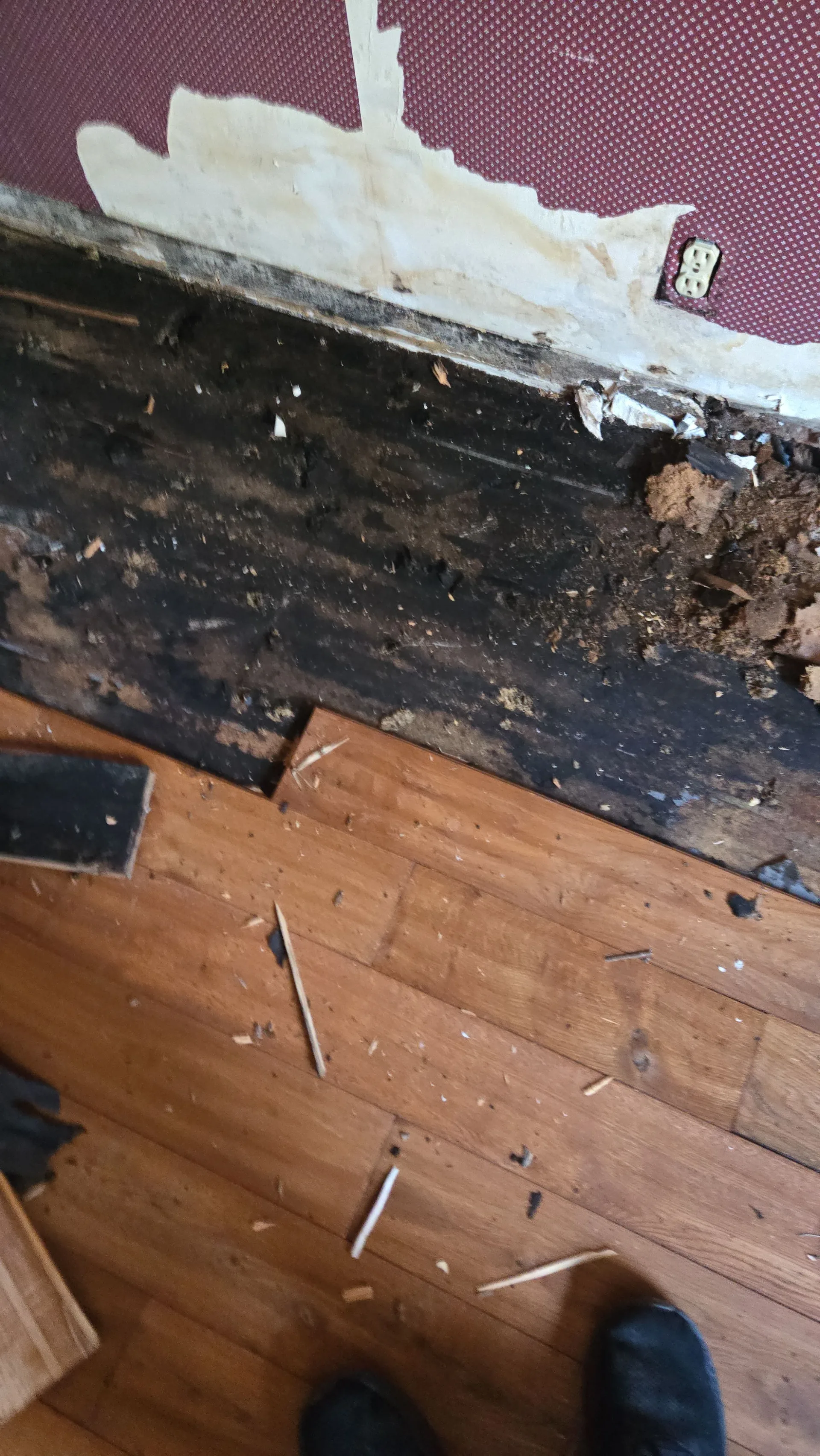 Mold Under Flooring
