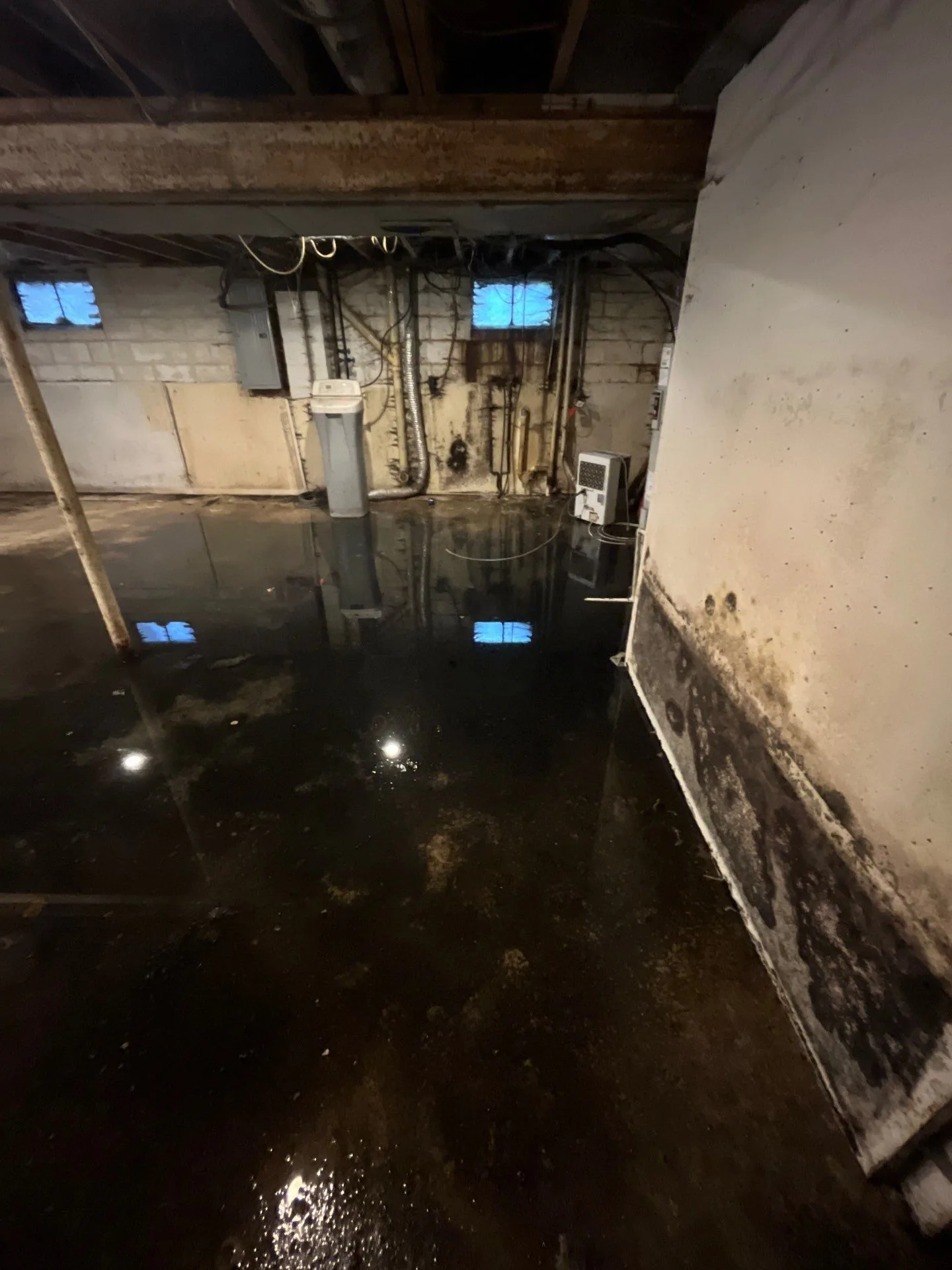 Basement flood with mold reveal: water out, mold out, dry and clean
