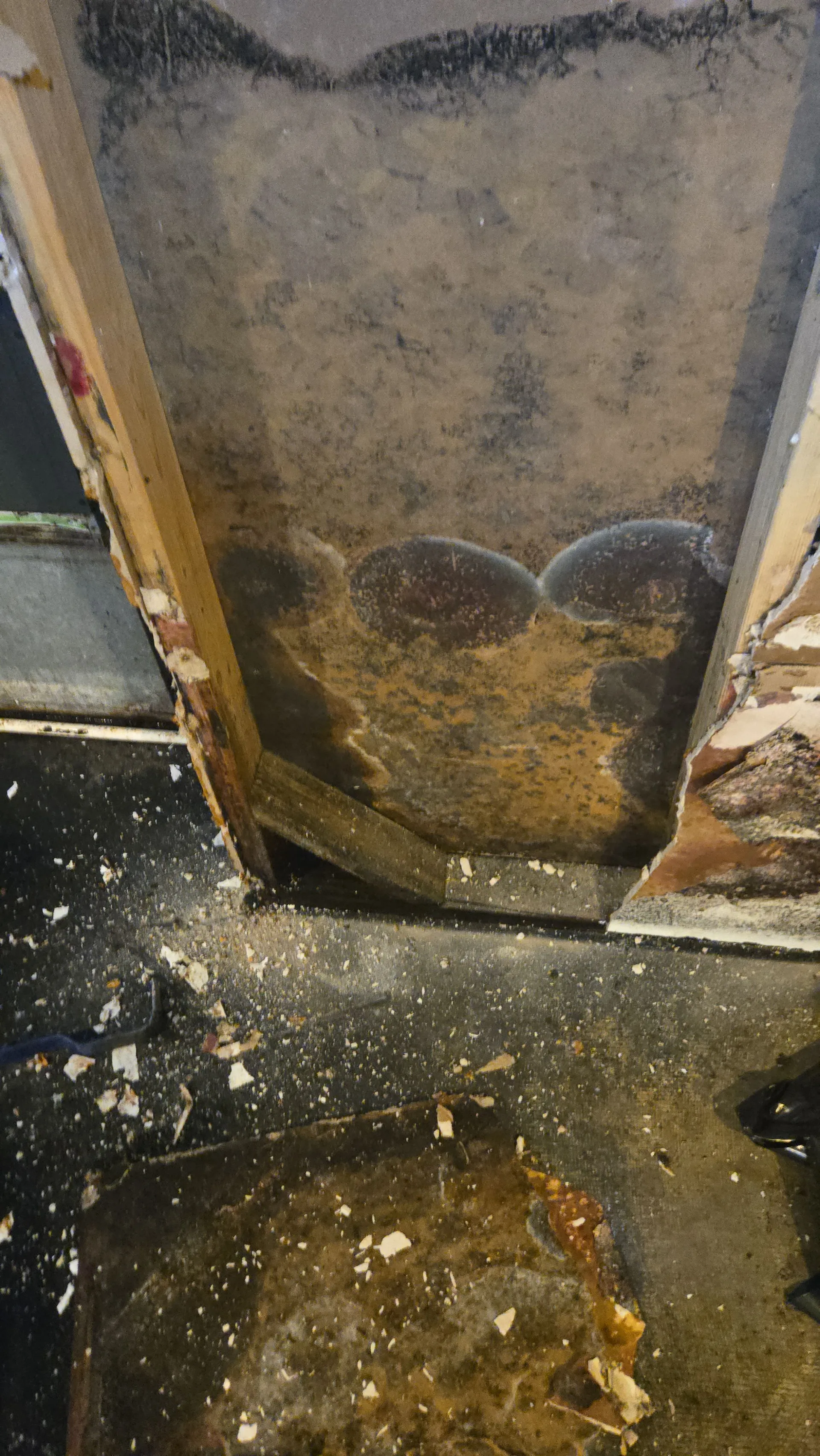 Mold