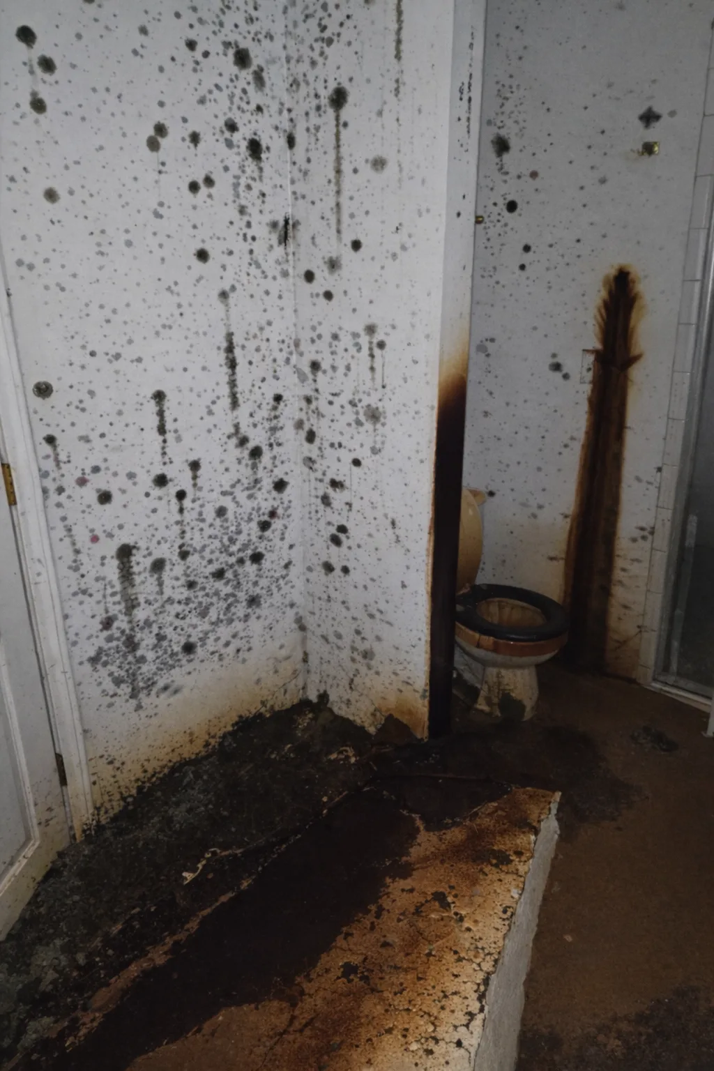 Upstairs bathroom leak to bedroom ceiling collapse: full restoration