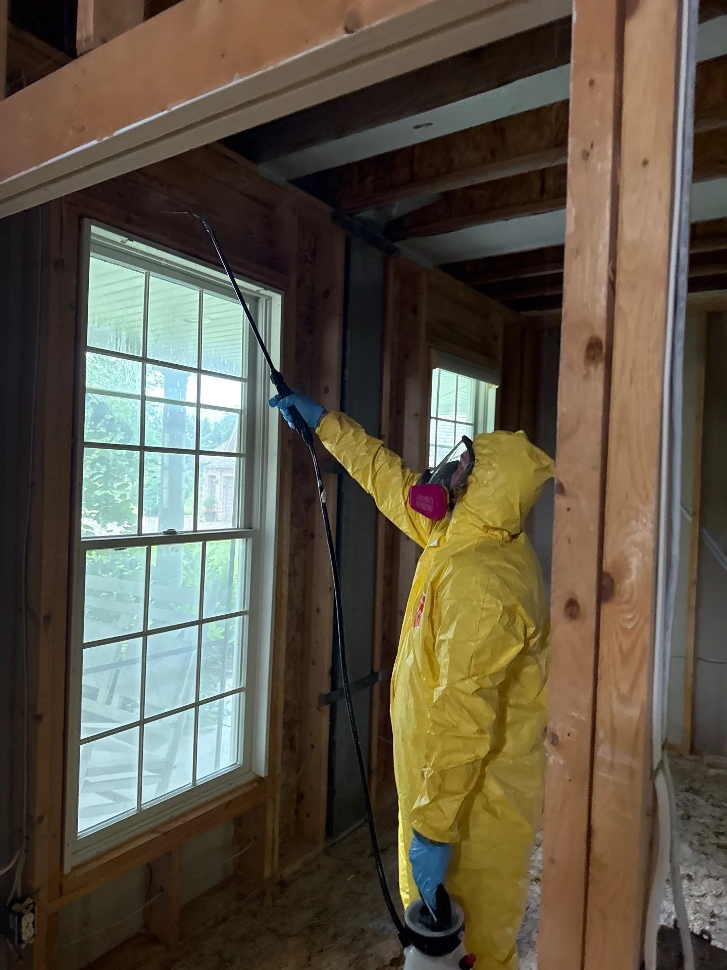Mold removal